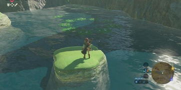 《塞尔达传说荒野之息》900呀哈哈种子全搜集秘籍攻略解析