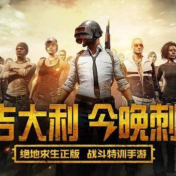 《绝地求生》武器伤害解析：深度剖析全新性能价值揭秘