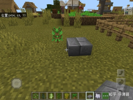 高效种植指南：掌握Minecraft农田种植技巧