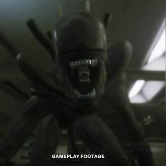 异形生存指南：隔离逃生秘籍深度解析