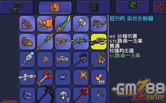 泰拉瑞亚召唤师攻略：深度解析，全面升级秘籍！