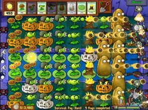 植物大战僵尸：揭秘花园战争职业定位与技能新攻略