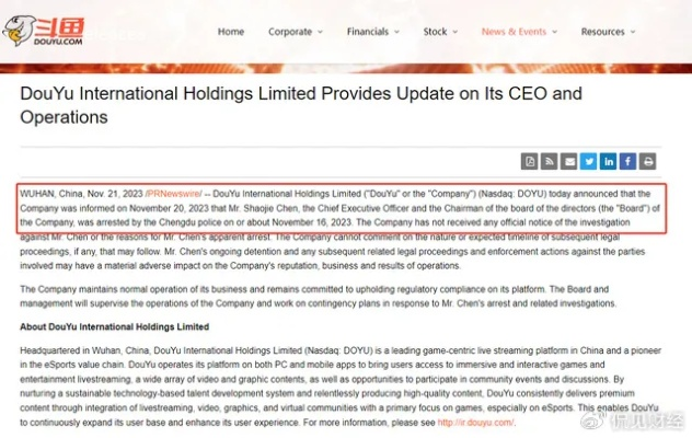 35岁外包裁后密码重置，揭秘600万损失与10年监禁危机