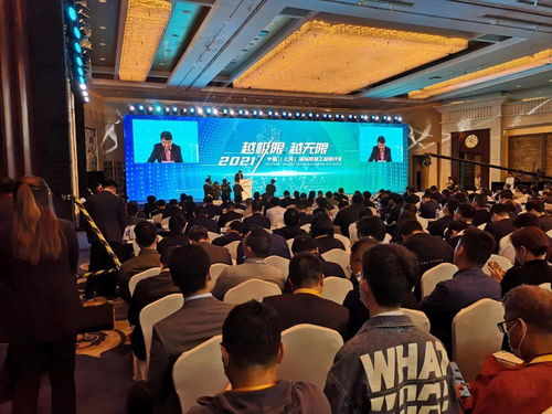 《燕云十六声》柿业有成攻略：高效完成新玩法揭秘