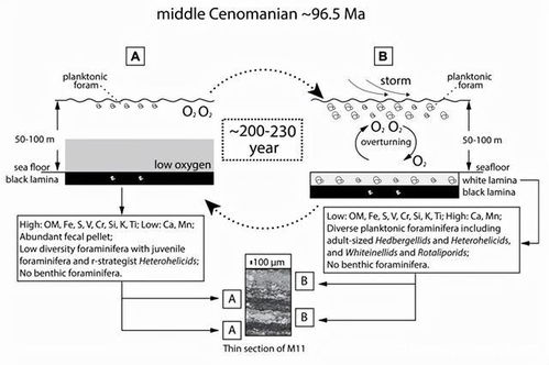 学者三系专精如何突破天花板？2025顶尖玩家拆解核心命门！