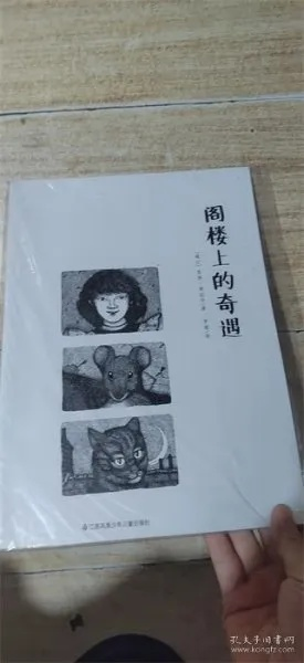 1998年奇遇记：揭秘少女同居室内的秘密奇缘
