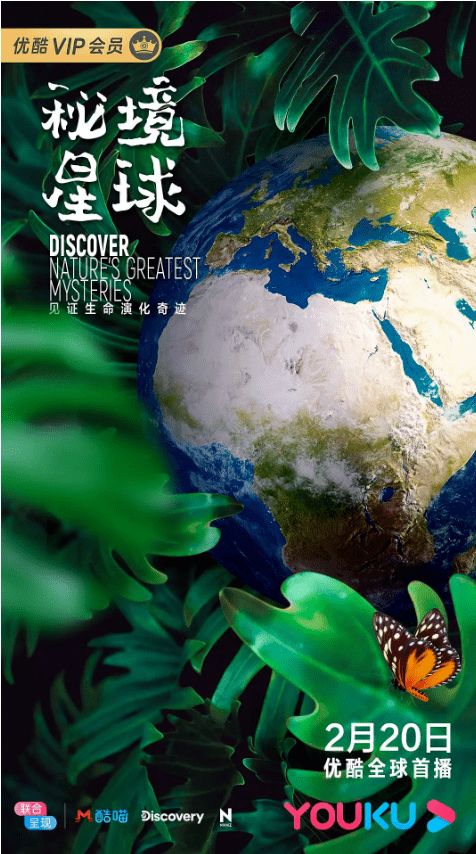 《孤独之海》全搜集攻略：海鸥、漂流瓶位置深度解析，探索新玩法