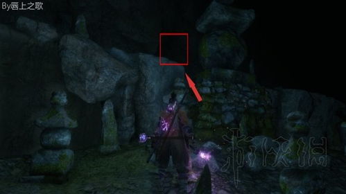 《只狼》韧性解析：周目攻略与怨恨鬼击破技巧全揭秘