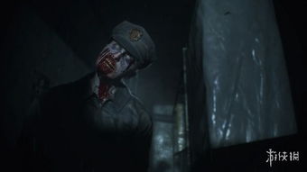 《生化危机2重制版》白金攻略：解锁条件解析+高效路线指南**攻略秘籍**