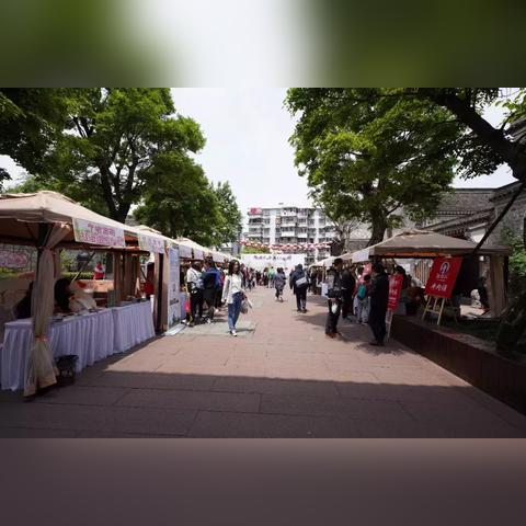 番茄镇攻略：深度解析作战技巧与地理优势