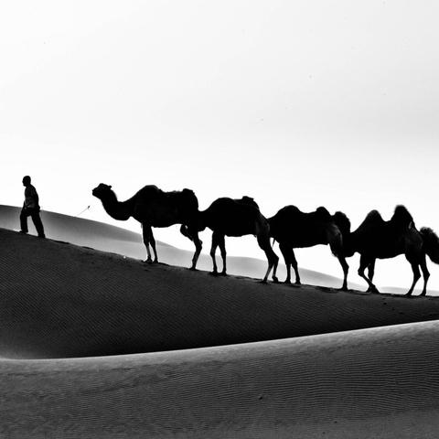 《暗黑血统3》商城秘境，解锁全新游戏价值体验