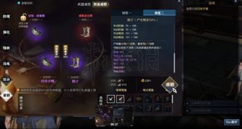 《逆水寒》平民武器合成秘籍：高效技巧轻松掌握新攻略