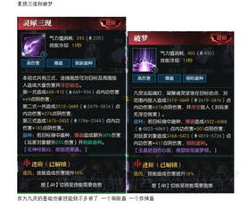 九灵宝宝输出巅峰攻略：极限流秘籍大揭秘