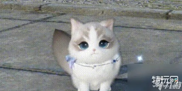 逆水寒猫咪养成秘籍：轻松解锁萌宠新玩法