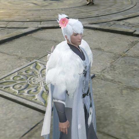 《逆水寒》铁衣装备攻略：副本技能搭配与精选推荐解析