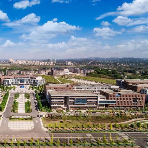 《我的世界》高手与新手差异大揭秘，技能提升新视角