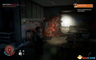 《腐烂国度2》全攻略揭秘：深度解析支线任务图文精华