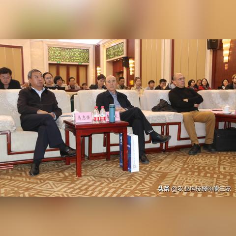 传奇盛大，2025年如何突破PK瓶颈成为游戏之神？