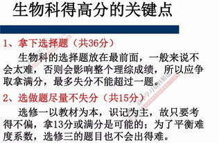 锚定优质内容，掌握高分素材制作技巧，星广联投揭秘新策略