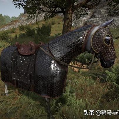 《龙腾世纪2》深度攻略：解锁神秘力量，全面升级游戏体验