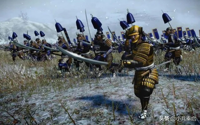 化身征战新攻略：深度解析《全面战争：幕府将军2》联机精髓