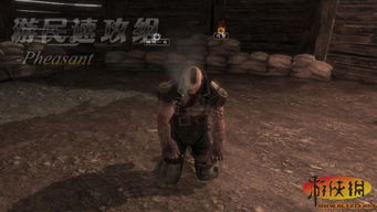 神鬼寓言3全流程攻略揭秘，深度解析新视角