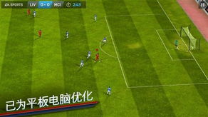 成就解锁：揭秘FIFA11球员荣耀新篇章