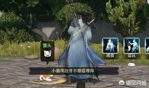 逆水寒神侯府猫奴秘籍：轻松撸猫技巧大公开