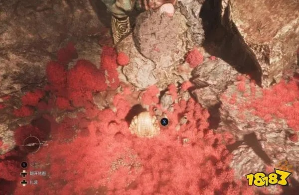 《光与影33号远征队》芽簇皮肉位置速查，掌握核心技巧新攻略