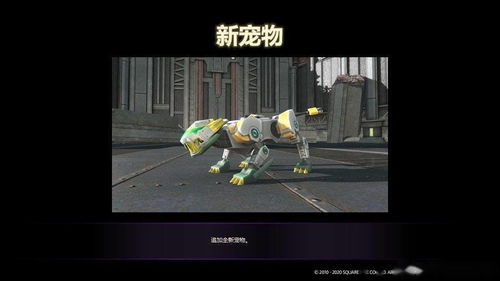 最终幻想14国服，国服玩家如何解锁2025年暗影之逆焰的隐藏机制？