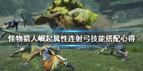 《怪物猎人崛起》弓箭手巅峰配装攻略，解锁全新战斗技巧！