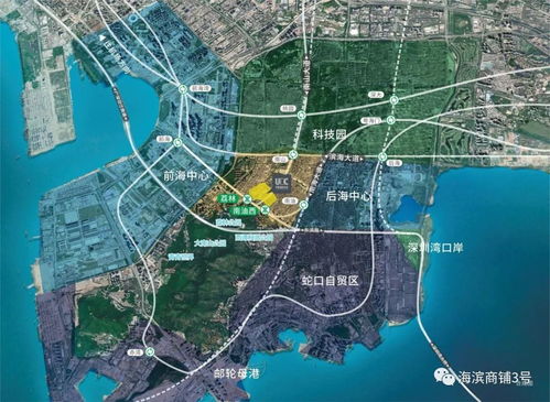 “老中医”退赛真相曝光，赛事组回应揭示求生新高度