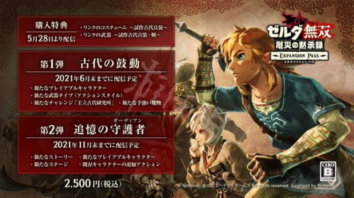 《塞尔达无双灾厄启示录》角色连招秘籍，解锁最强战斗新境界