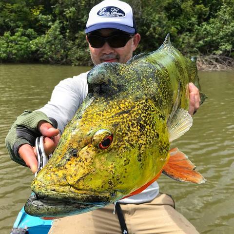 《闪3钓鱼攻略》帝王鲈捕获全解析，钓鱼达人必备技巧！