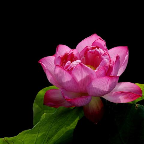 《堡垒之夜》RV王冠潜艇藏匿揭秘：一周王冠乌龟潜艇舞动攻略全解析