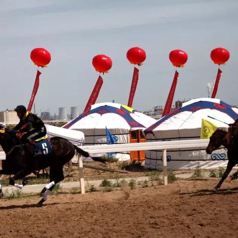 《荒野大镖客2》野马分布探秘，骑手挑战攻略全解析