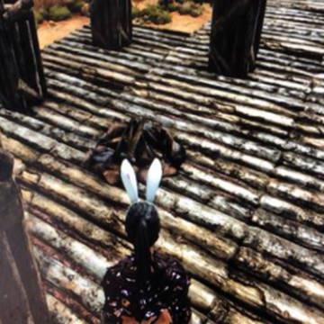 《方舟生存进化》高效建造秘籍：解锁房屋搭建新境界