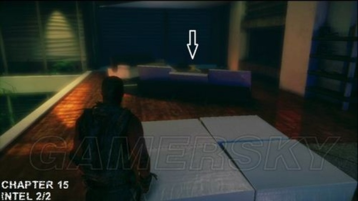 《一线生机》收藏宝藏攻略，揭秘全收藏品位置秘籍