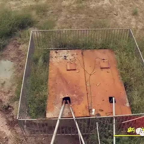 COD9终极揭秘：探寻完美结局新篇章