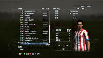 《实况足球2013》技能卡深度解析：掌握足球大师新秘籍