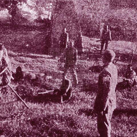 声望提升攻略：揭秘英雄无敌6据点建设新策略