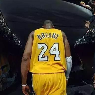 《刺客信条2》全攻略揭秘：解锁历史奥秘的刺客秘籍