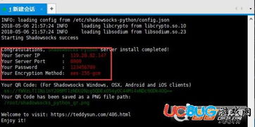 《绝地求生》自建加速器攻略：轻松搭建高效游戏加速平台