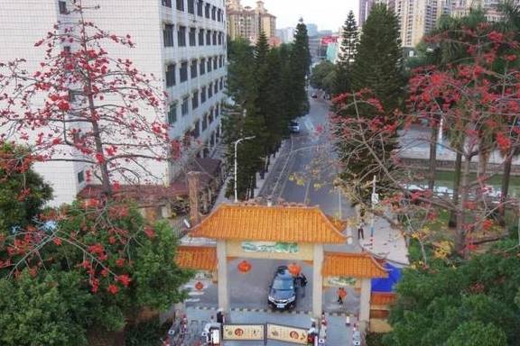 《多洛可小镇》兴居睦邻升级，共创和谐新篇章