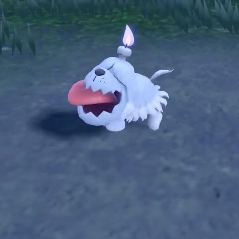 宝可梦朱紫太晶刷闪攻略，高效秘籍解锁新境界