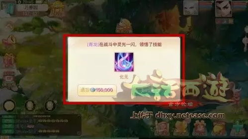 羊了个羊11.19第二关无道具通关秘籍，轻松解锁新境界