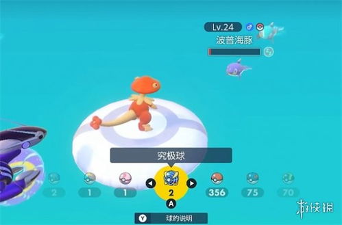 波普海豚进化揭秘：解锁全新宝可梦成长奥秘