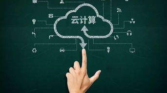 智巧灵蕈竞逐揭秘，大幕开启新价值体验