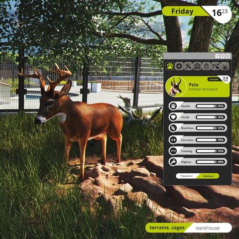 动物园之星Steam热销，揭秘性价比之选！