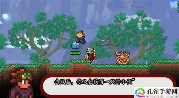 《泰拉瑞亚》1.4.4独家攻略：揭秘8种城镇史莱姆高效捕获技巧